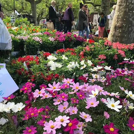 Сasa de vacaciones Cute 2 Bed - Fources, Gascony Fourcès