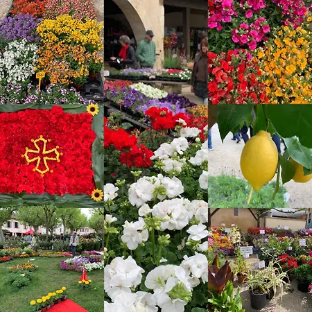 Cute 2 Bed - Fources, Gascony * Fourcès