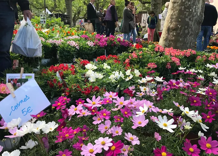 Vakantiehuis Cute 2 Bed - Fources, Gascony Fourcès